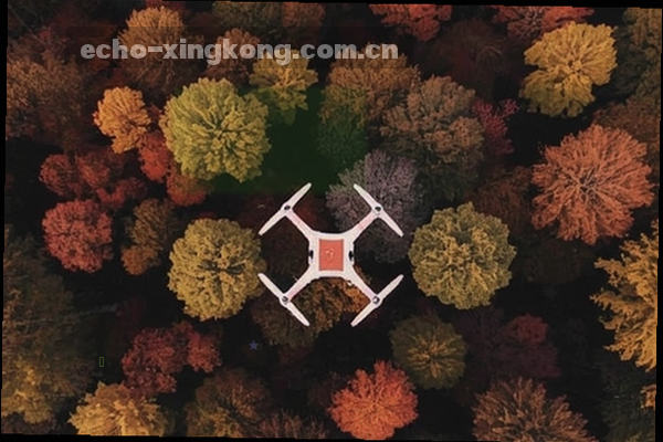 星空背景下的足球场瞬间